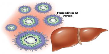Hepatit B Baklk