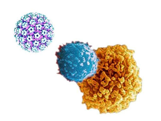 Humoral Bağışıklık Özellikleri ve Faydaları Nelerdir?